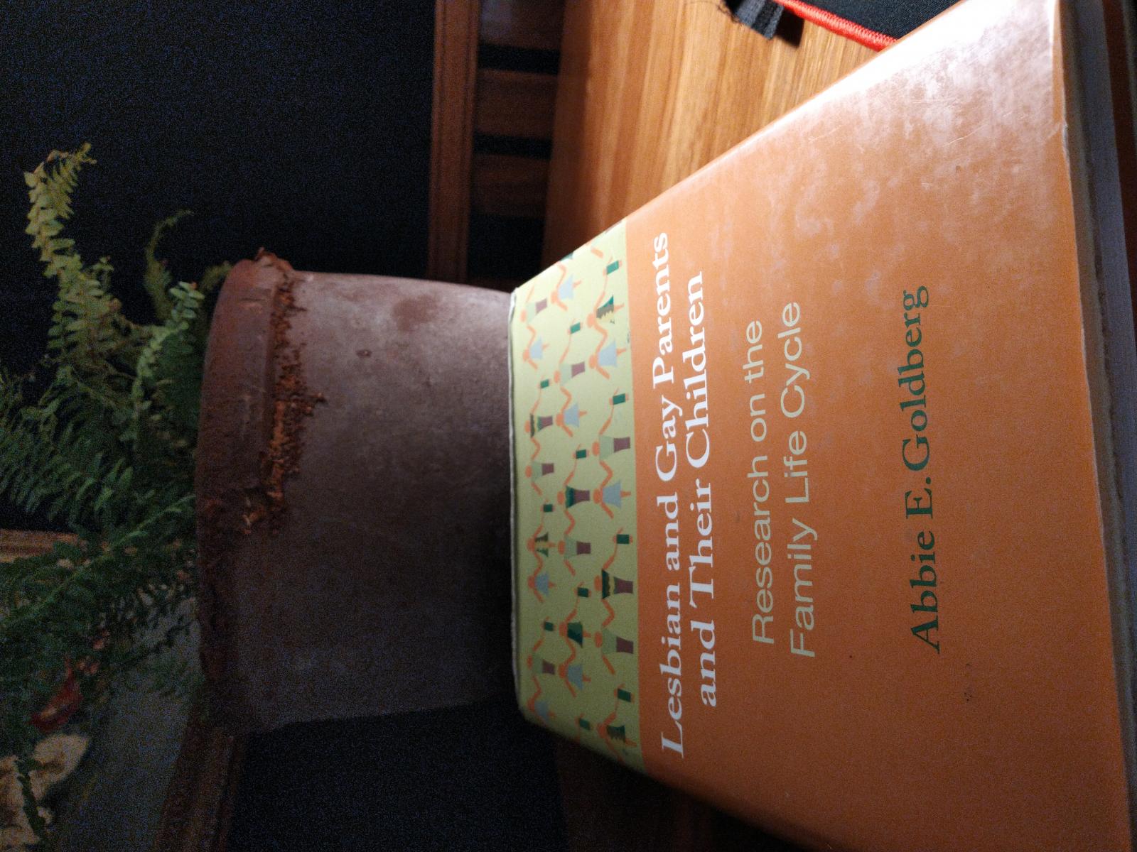 Lesbian and gay parents and their children